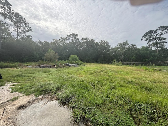 719 County Road 412, Dayton, TX 77535 - photo 9