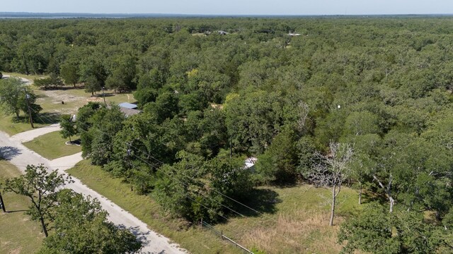 TBD Hill Loop Rd, Somerville, TX 77879 - photo 4