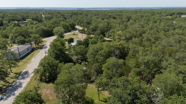 TBD Hill Loop Rd, Somerville, TX 77879 - photo 5