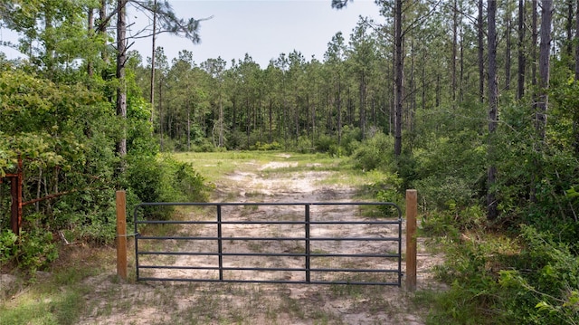 TRACT3 Fm 942, Livingston, TX 77351