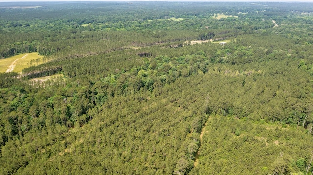 TRACT3 Fm 942, Livingston, TX 77351