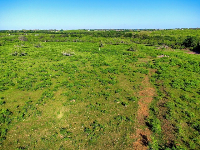 TBD County Road 447, Waelder, TX 78959