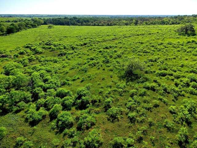 TBD County Road 447, Waelder, TX 78959