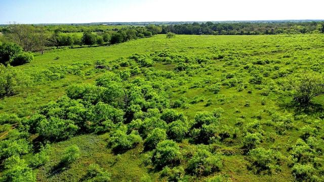 TBD County Road 447, Waelder, TX 78959