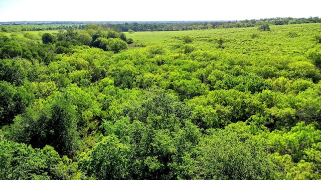 TBD County Road 447, Waelder, TX 78959