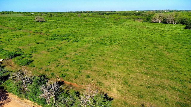 TBD County Road 447, Waelder, TX 78959