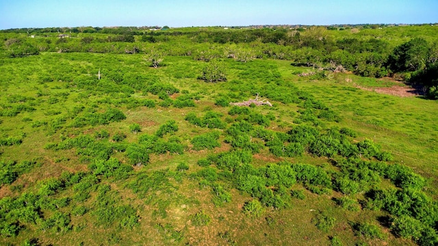 TBD County Road 447, Waelder, TX 78959