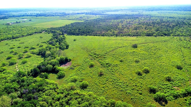 TBD County Road 447, Waelder, TX 78959