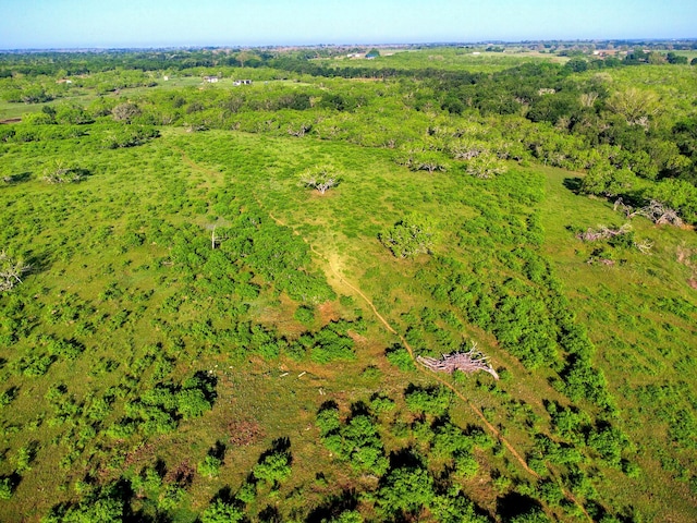 TBD County Road 447, Waelder, TX 78959