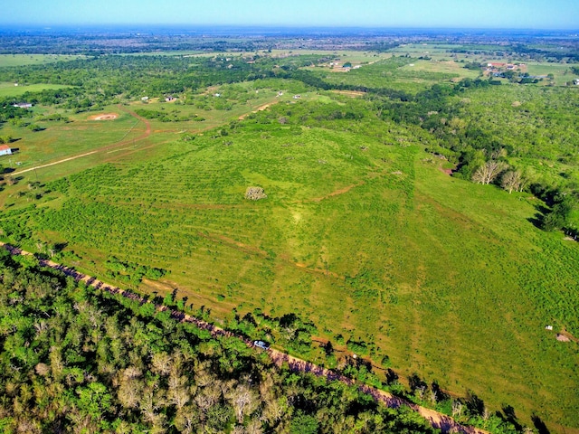 TBD County Road 447, Waelder, TX 78959