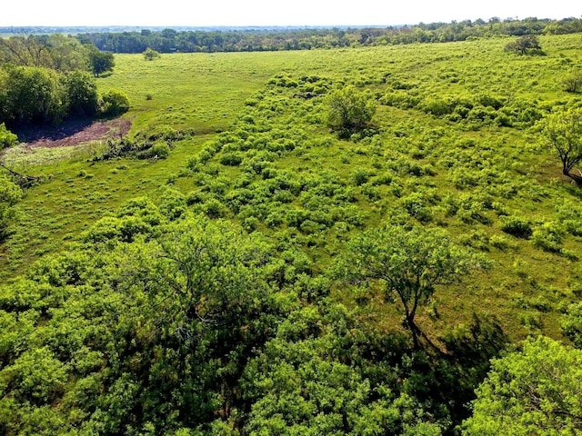 TBD County Road 447, Waelder, TX 78959