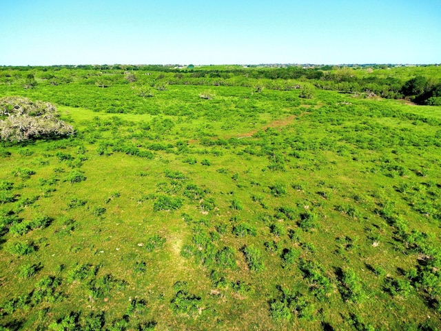TBD County Road 447, Waelder, TX 78959