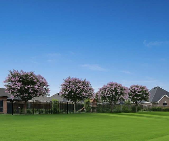 2603 Open Prairie Ln, Katy, TX 77493 - view of yard