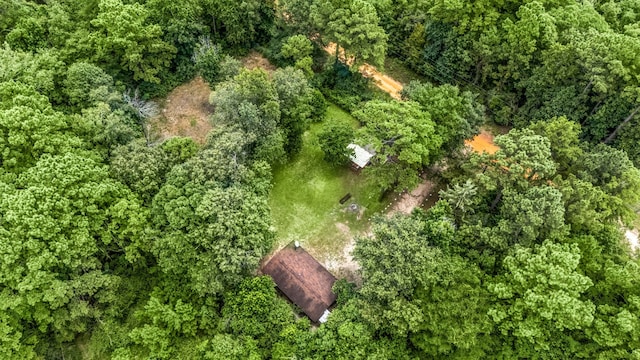 125 James Blvd, Livingston, TX 77351 - aerial view