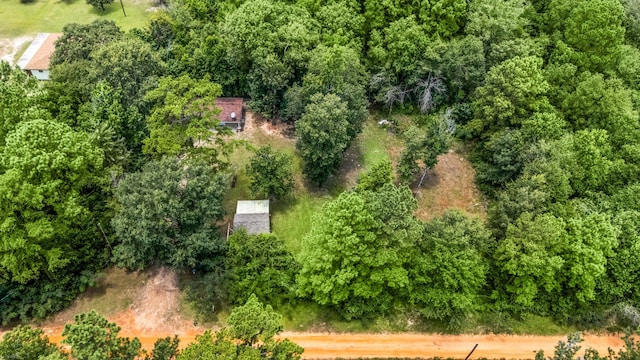 125 James Blvd, Livingston, TX 77351 - bird's eye view