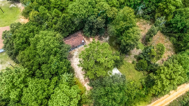 125 James Blvd, Livingston, TX 77351 - drone / aerial view