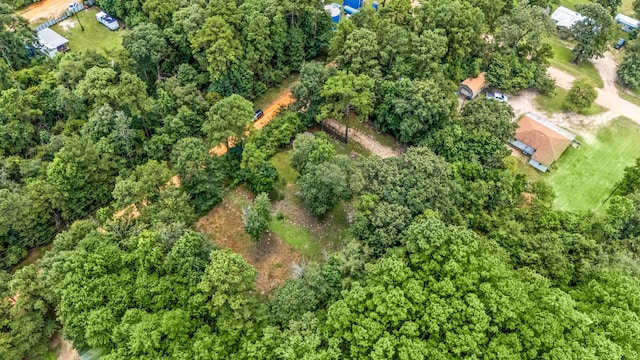125 James Blvd, Livingston, TX 77351 - view of property location