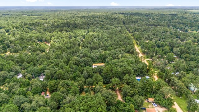 125 James Blvd, Livingston, TX 77351 - aerial view of property's location featuring a heavily wooded area