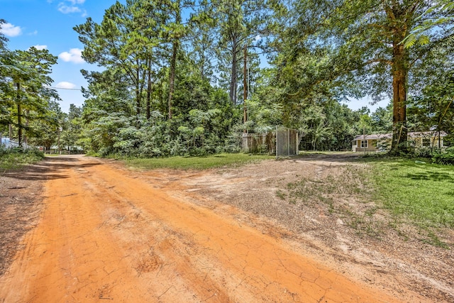 125 James Blvd, Livingston, TX 77351 - view of dirt / gravel road