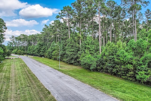 10213 S Autumn Leaf Cir, Magnolia, TX 77354 - photo 4