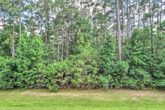 10213 S Autumn Leaf Cir, Magnolia, TX 77354 - photo 5