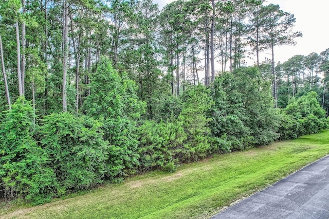 10213 S Autumn Leaf Cir, Magnolia, TX 77354 - photo 6
