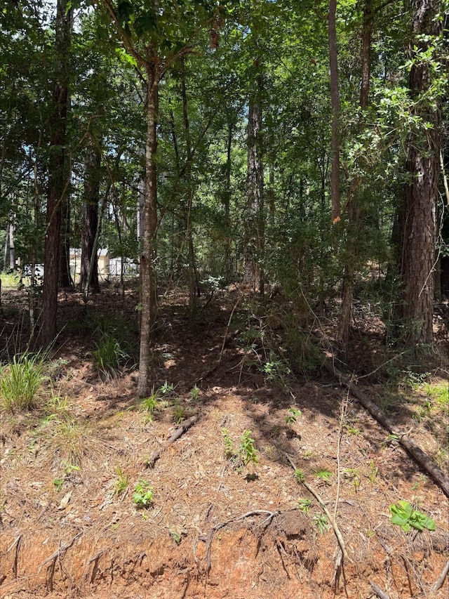 0 Non Such Rd, Livingston, TX 77351