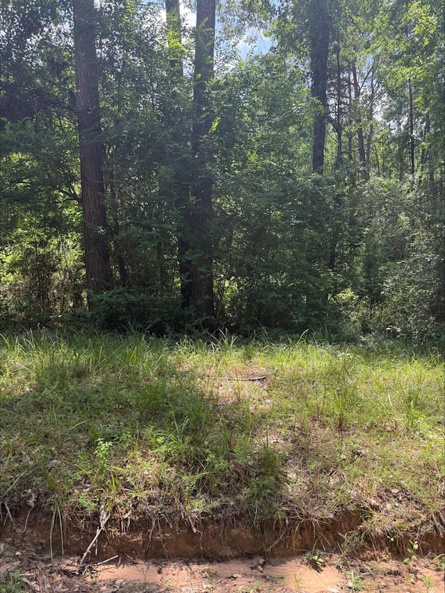 0 Non Such Rd, Livingston, TX 77351
