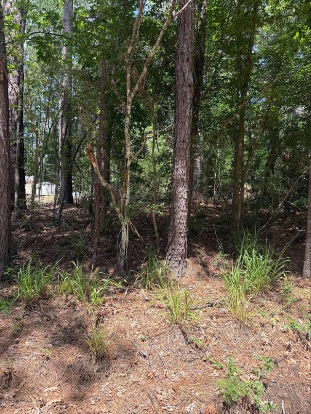 0 Non Such Rd, Livingston, TX 77351