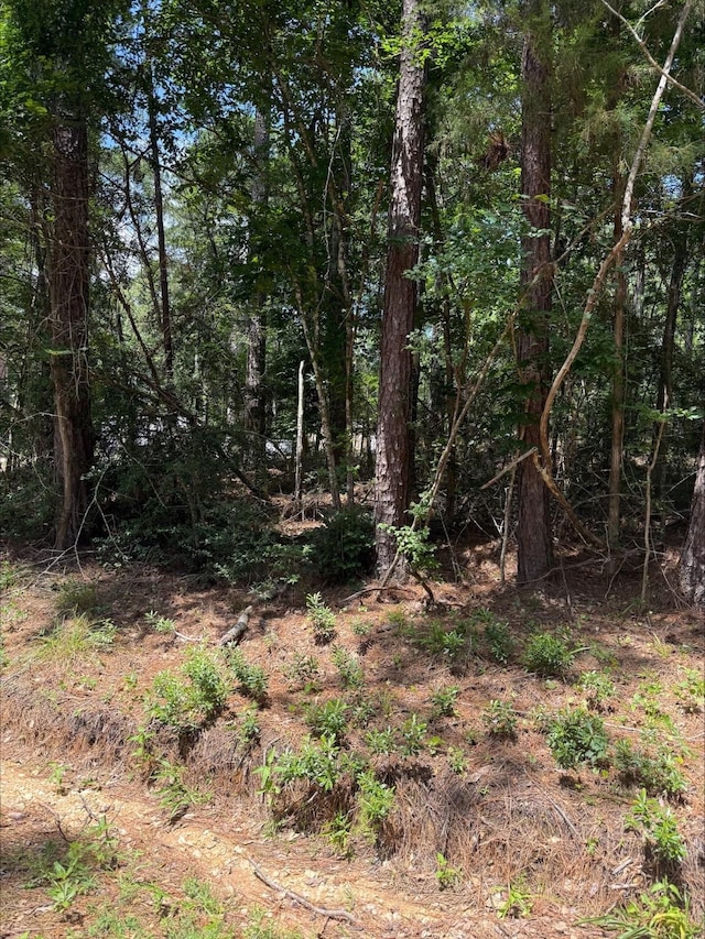 0 Non Such Rd, Livingston, TX 77351