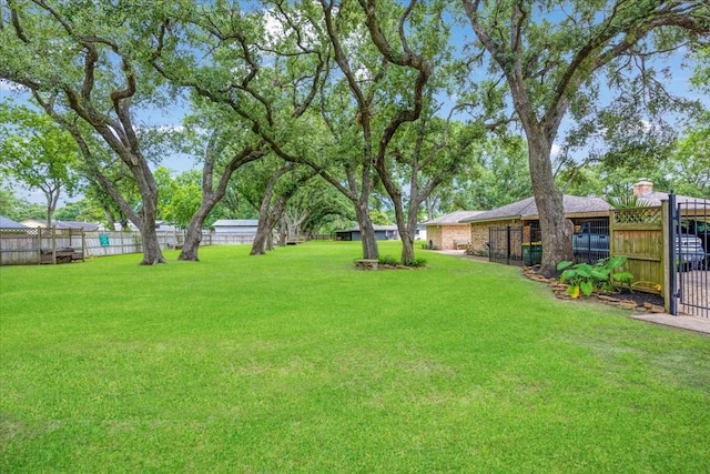 3220 Patricia Ln, Pearland, TX 77581 - view of yard