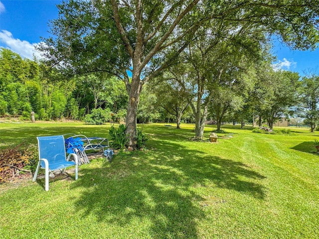 7218 County Road 42, Rosharon, TX 77583 - photo 6
