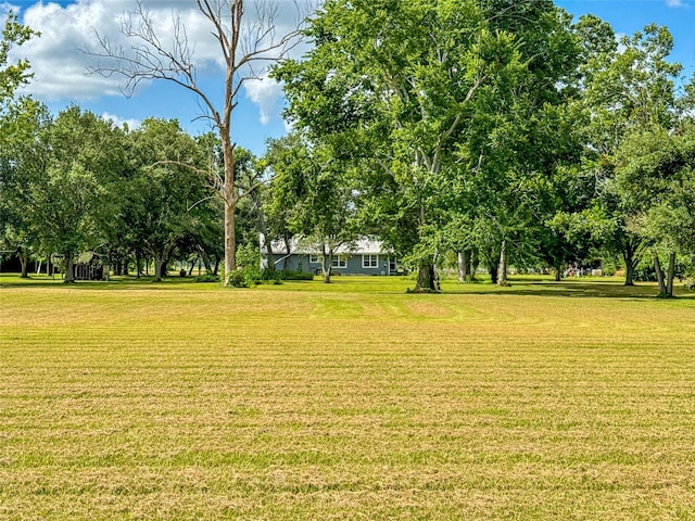 7218 County Road 42, Rosharon, TX 77583 - photo 14