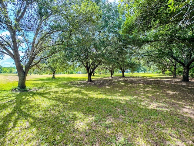 7218 County Road 42, Rosharon, TX 77583 - photo 17