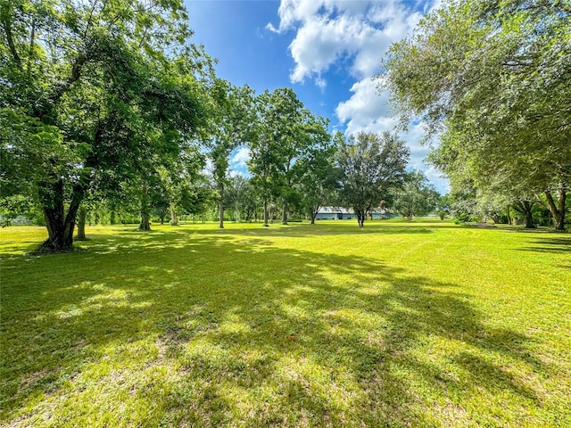 7218 County Road 42, Rosharon, TX 77583 - photo 18