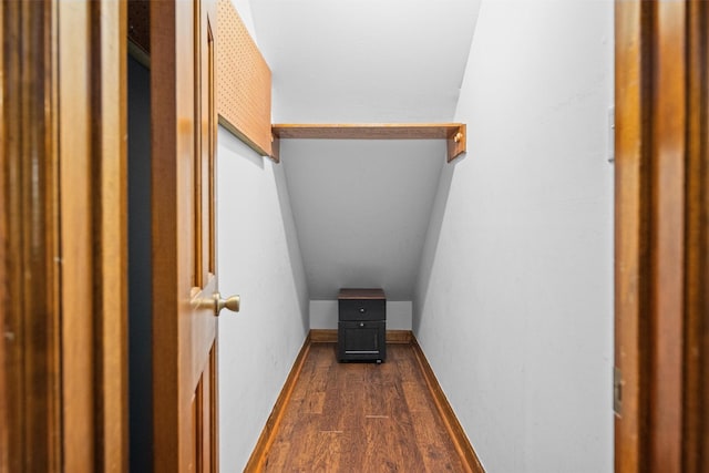 215 Enchanted Estates Dr, Crockett, TX 75835 - walk in closet with dark wood-style floors