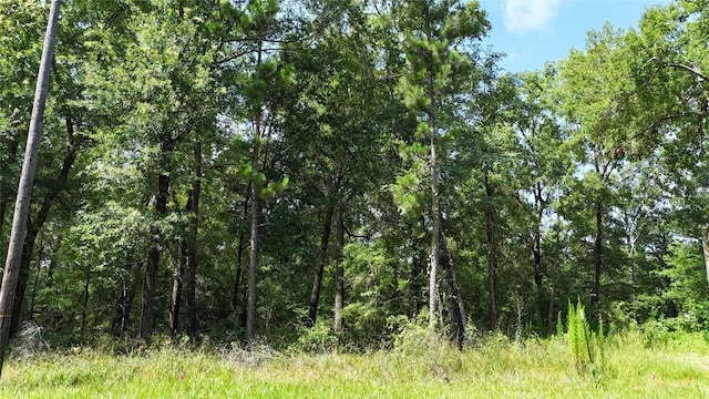 00 Southland Cir, Livingston, TX 77351