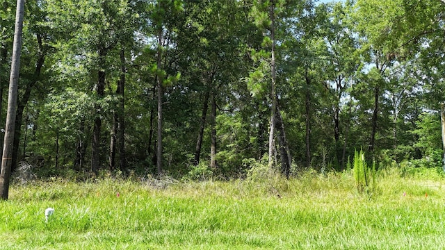 00 Southland Cir, Livingston, TX 77351