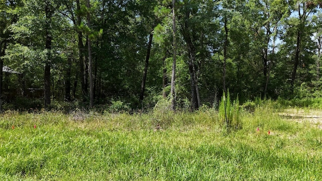 00 Southland Cir, Livingston, TX 77351