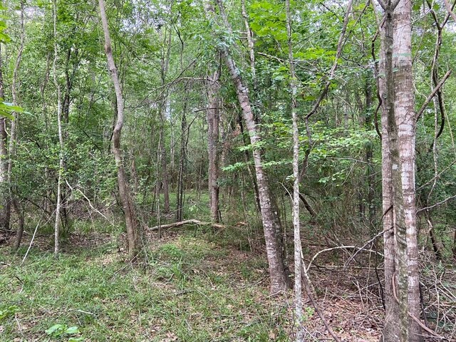 239 Vista Del Lago Dr, Huffman, TX 77336 - photo 3
