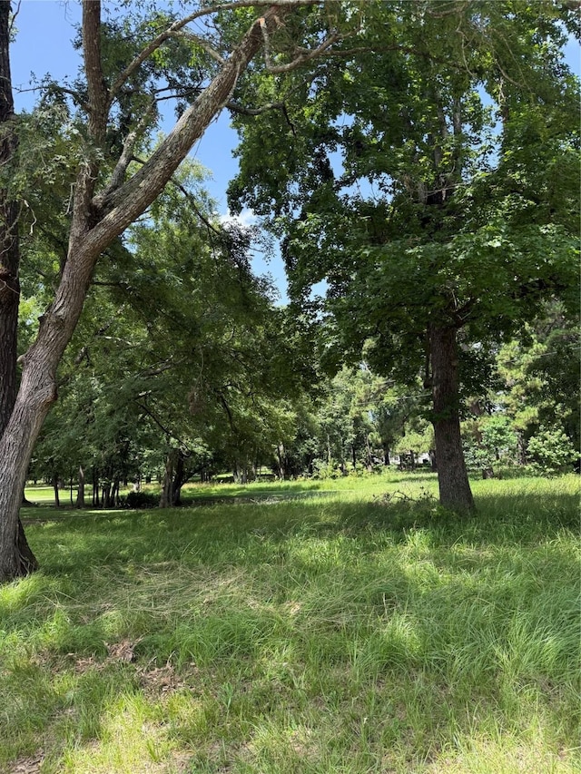 BLK7LOT9 Monticello St, Trinity, TX 75862 - photo 2