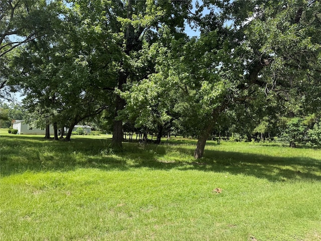 BLK7LOT9 Monticello St, Trinity, TX 75862 - photo 3