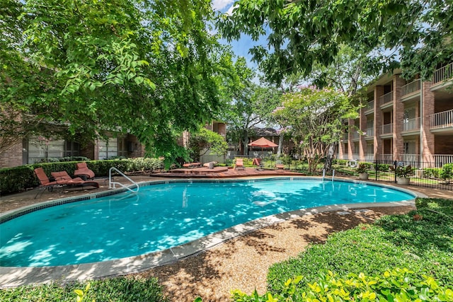6437 Bayou Glen Rd, Houston, TX 77057 - view of community pool