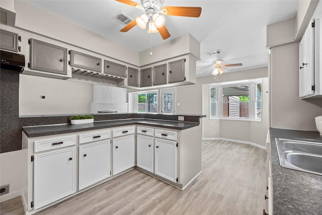 12211 Pine Knoll Dr, Houston, TX 77099 - kitchen with ceiling fan, light wood-style flooring, and healthy amount of natural light