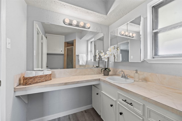 12211 Pine Knoll Dr, Houston, TX 77099 - full bathroom featuring vanity, wood finished floors, a shower with door, and a textured ceiling