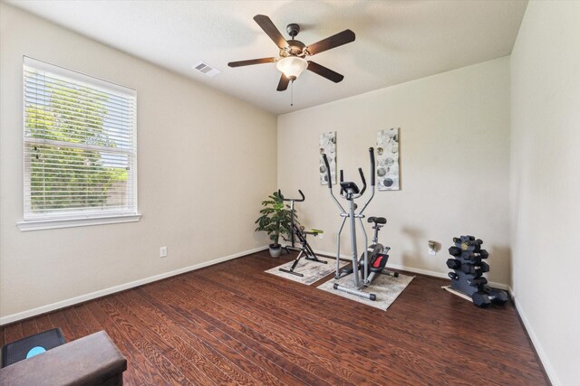 2404 Garnetfield Ln, Friendswood, TX 77546 - photo 26