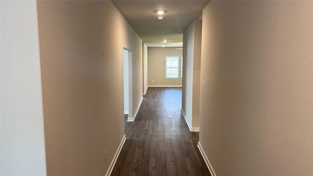 12015 Moonlight Path Dr, Conroe, TX 77304 - photo 2