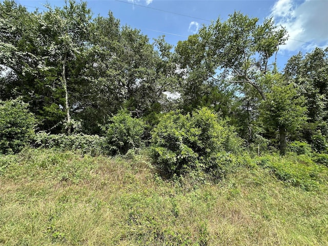 000000 Overlook Rd, Caldwell, TX 77836 - photo 1