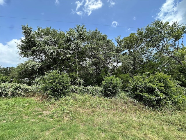 000000 Overlook Rd, Caldwell, TX 77836 - photo 2