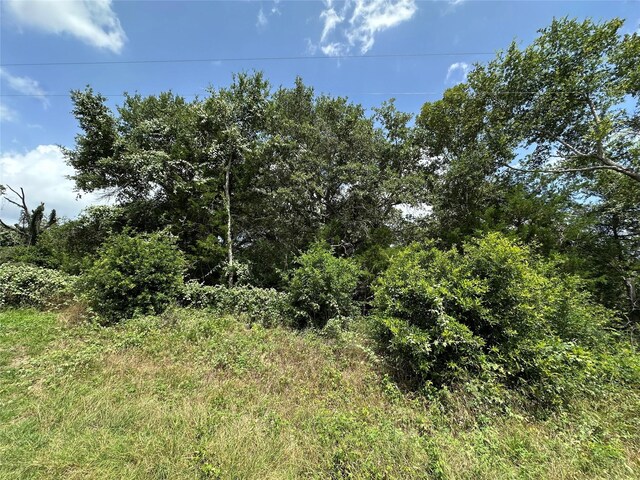 000000 Overlook Rd, Caldwell, TX 77836 - photo 3